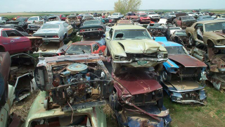 Illustration for article titled Is This The World's Largest Vintage Mustang Junkyard?